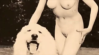 Output Taboo&comma; Pussy & Pooch